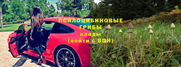 COCAINE Богородицк