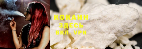твердый Богородск