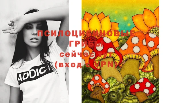 твердый Богородск
