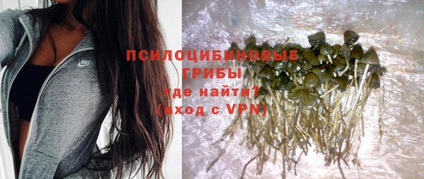 винт Белокуриха