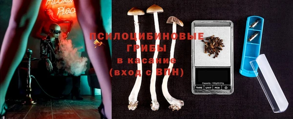 твердый Богородск